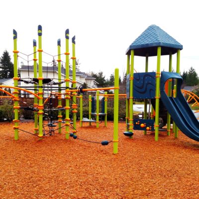 Renaissance Ridge Playground